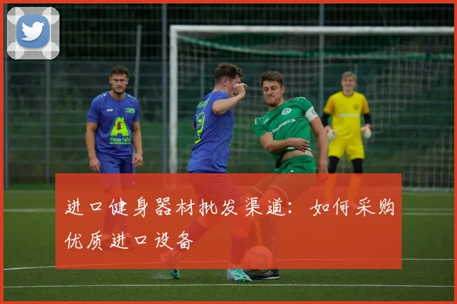 进口健身器材批发渠道:如何采购优质进口设备